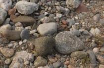 Gravel and Boulders for Landscaping
